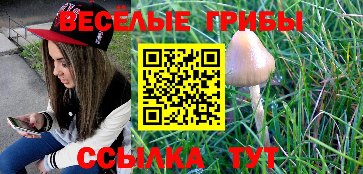 Галлюциногенные грибы Cubensis  наркошоп  Изобильный  Вход с VPN 